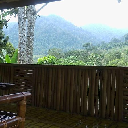不拉士打宜 Batu Kapal Jungle Houses酒店 外观 照片
