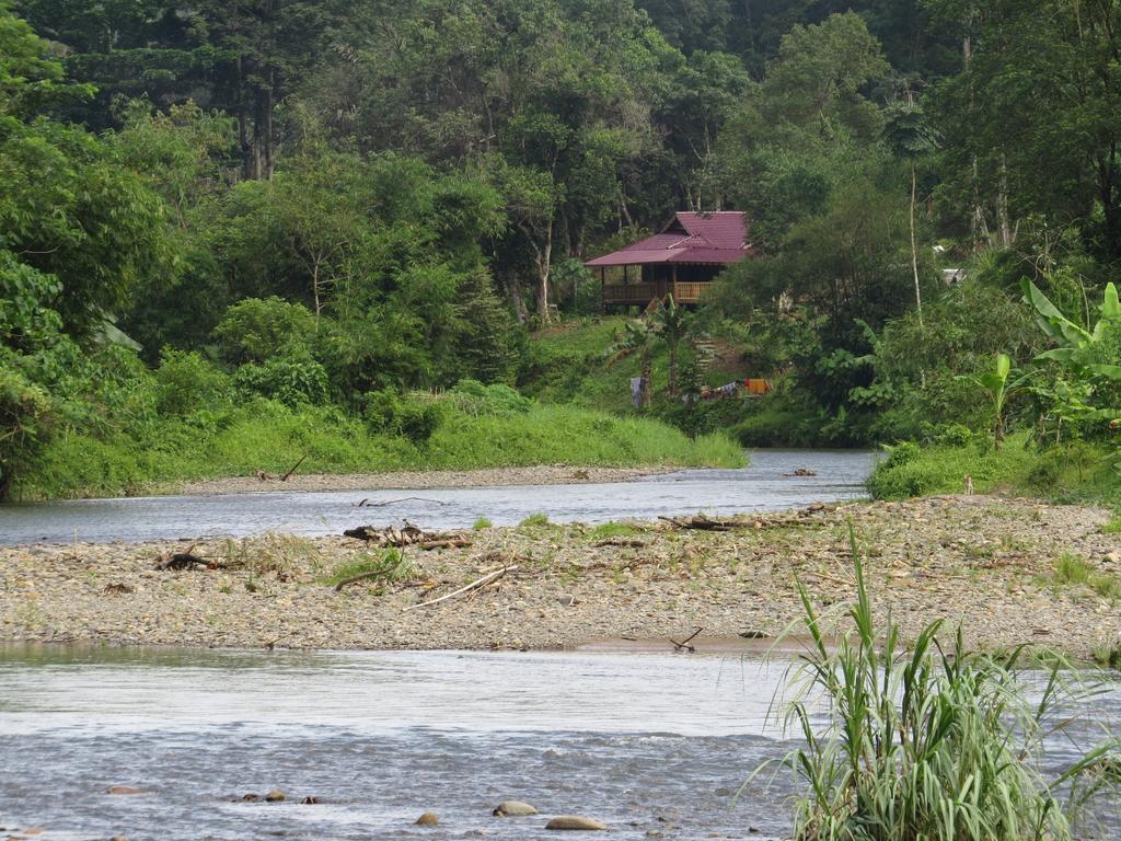 不拉士打宜 Batu Kapal Jungle Houses酒店 客房 照片