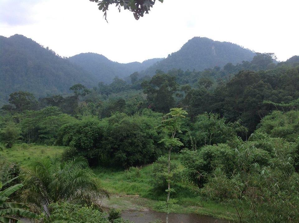 不拉士打宜 Batu Kapal Jungle Houses酒店 外观 照片