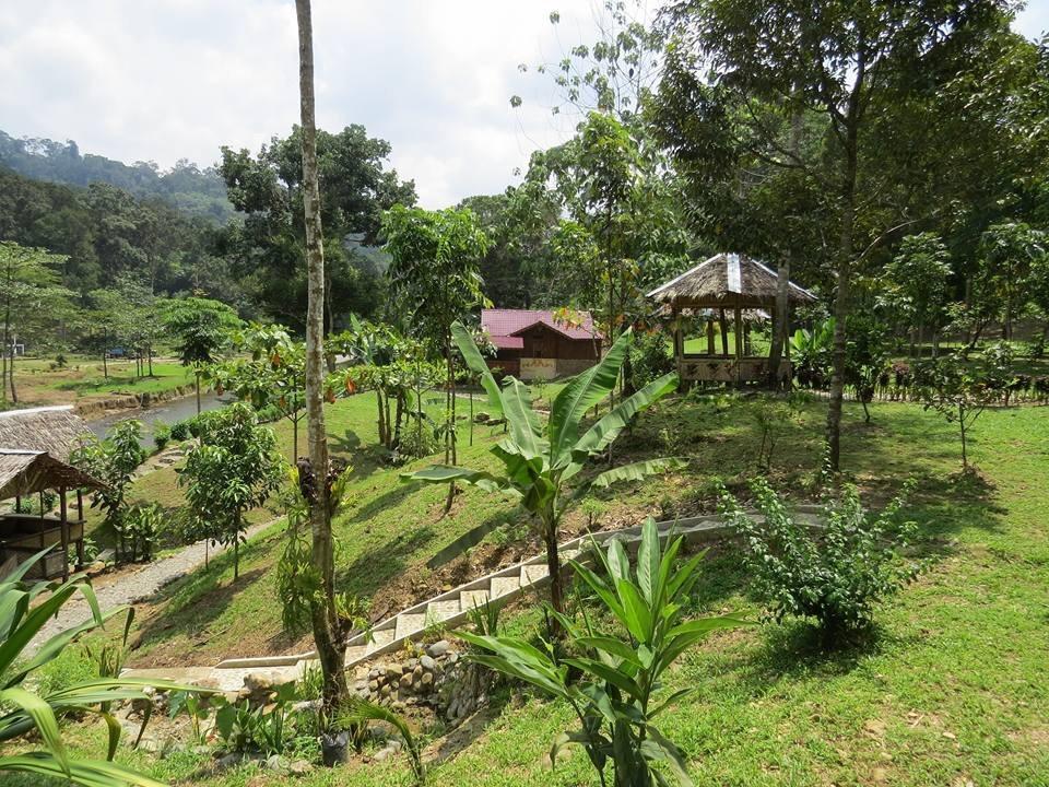 不拉士打宜 Batu Kapal Jungle Houses酒店 外观 照片
