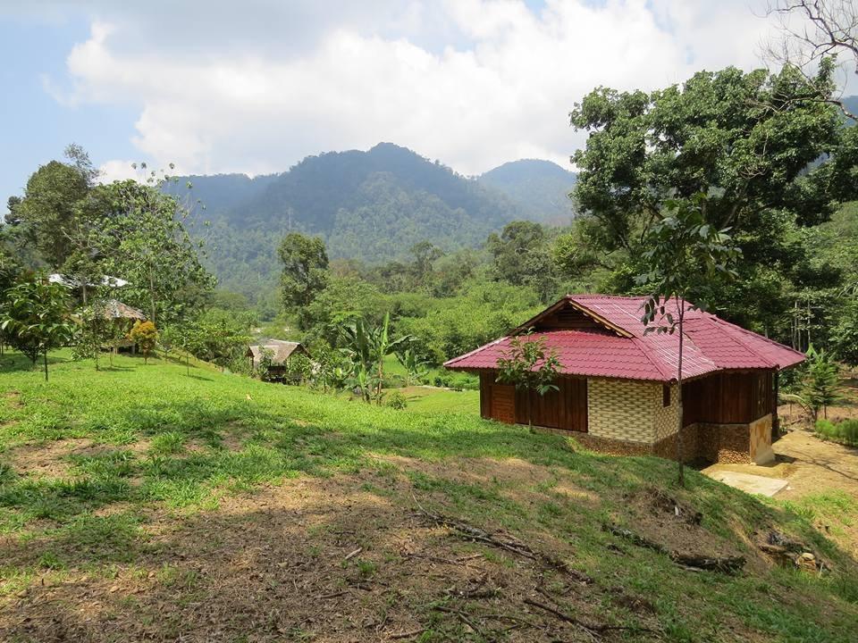 不拉士打宜 Batu Kapal Jungle Houses酒店 外观 照片
